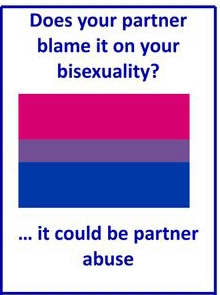 “Does Your Partner Blame it on Your Bisexuality?”