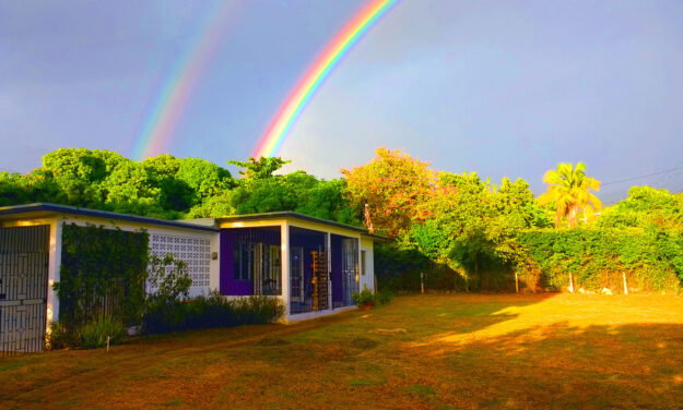 AROUND THE WORLD: Voices from Jamaica