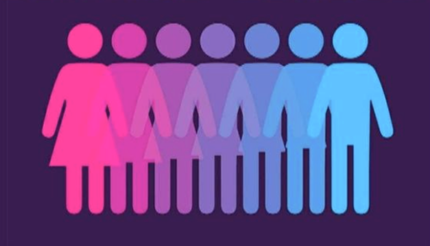 Interview with Miranda Schreiber: Improving Health Care for Bisexual+ and Other 2SLGBTQIA+ Individuals Through Better Training of Medical Practitioners